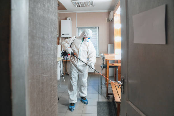 Best Dehumidification Services  in Clarksville, IN