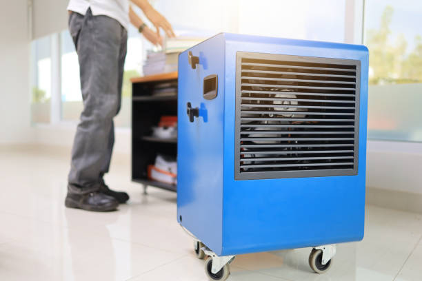 Best Air Quality Testing for Mold Spores  in Clarksville, IN