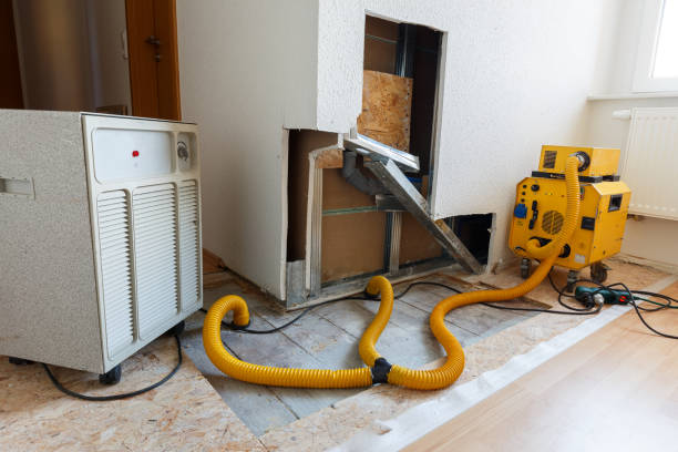 Best Indoor Air Quality Assessment  in Clarksville, IN