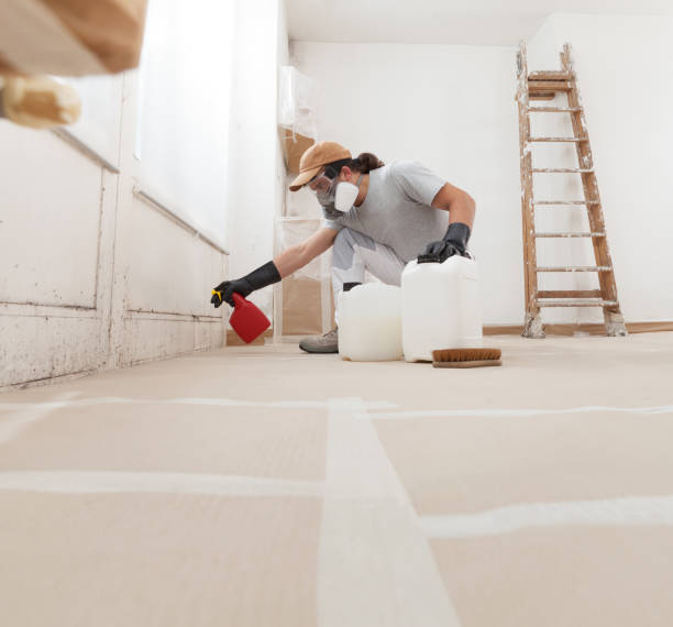 Best Post-Remediation Verification Testing  in Clarksville, IN