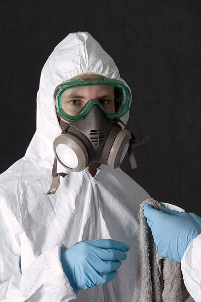 Best Asbestos and Lead Testing During Mold Inspection  in Clarksville, IN